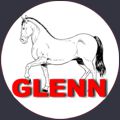 GLENN BOOKINGLESSONS